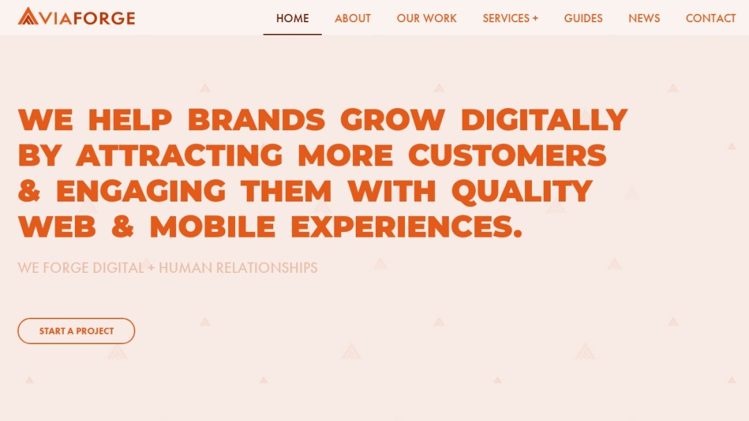 Screenshot of ViaForge's Website