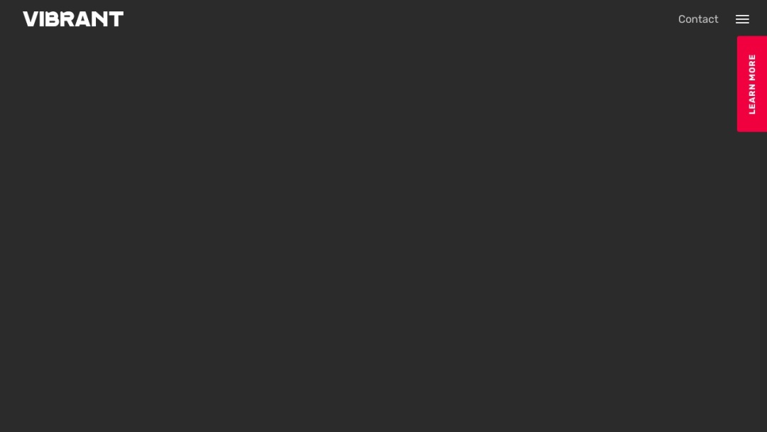 Screenshot of Vibrant Marketing's Website