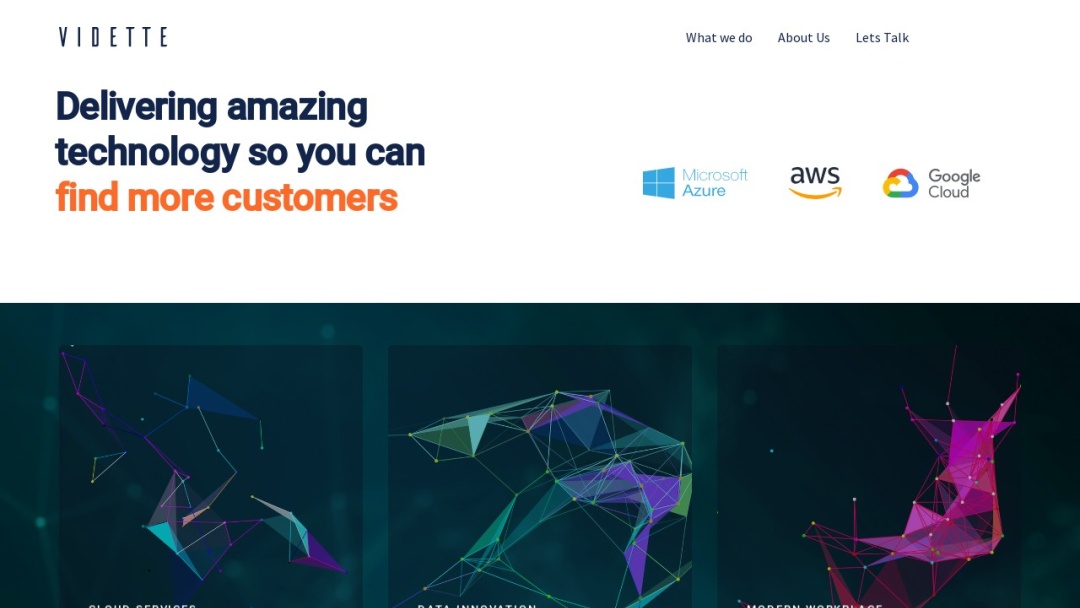 Screenshot of Vidette's Website