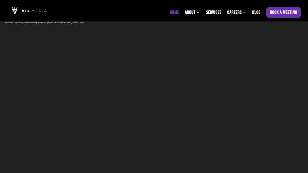 Screenshot of VIE Media's Website