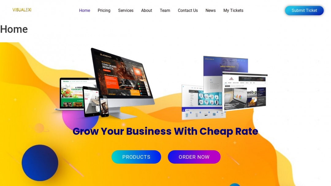 Screenshot of Visualexi's Website