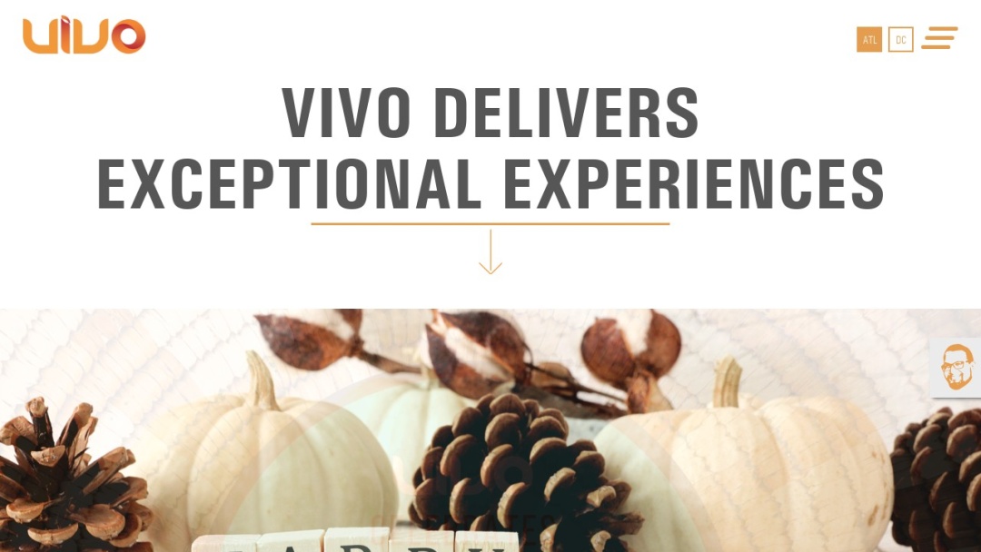 Screenshot of VIVO360, Inc.'s Website