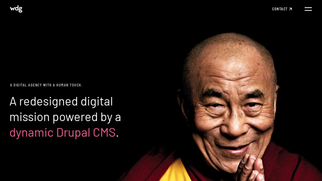 Screenshot of WDG - Web Development Group's Website