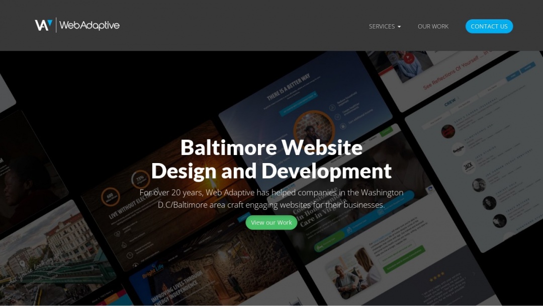 Screenshot of Web Adaptive's Website