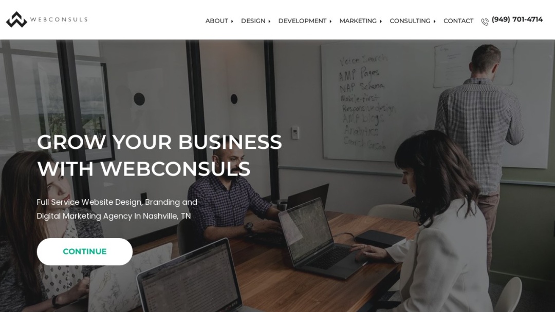 Screenshot of Webconsuls's Website