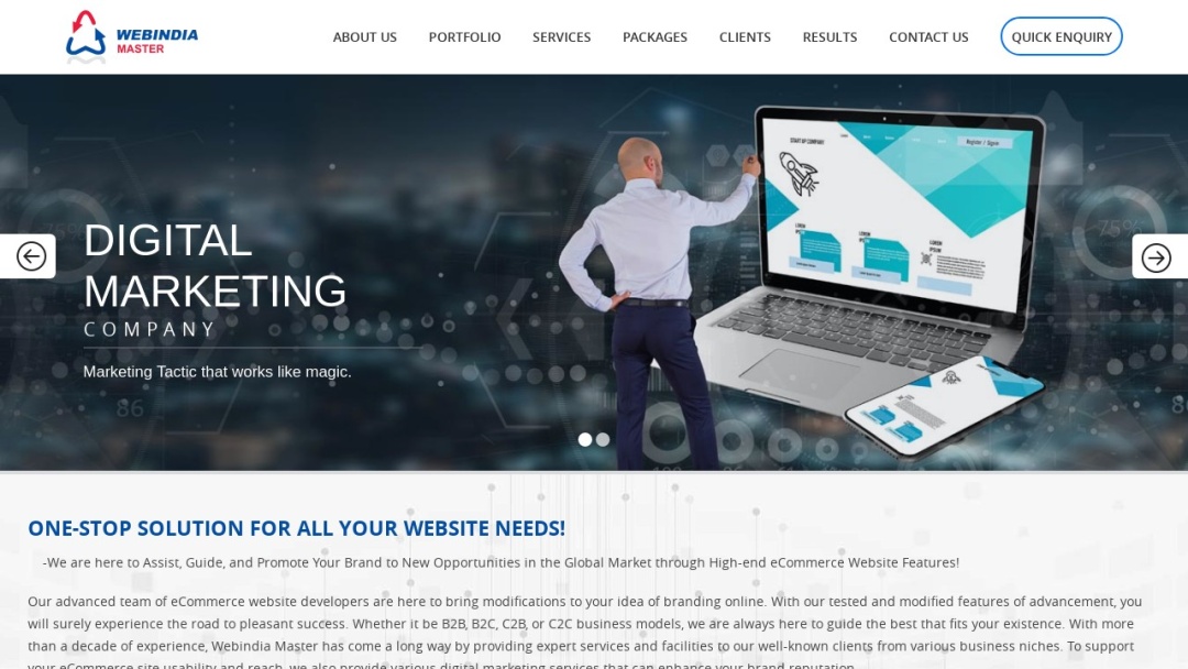 Screenshot of Webindia Master's Website