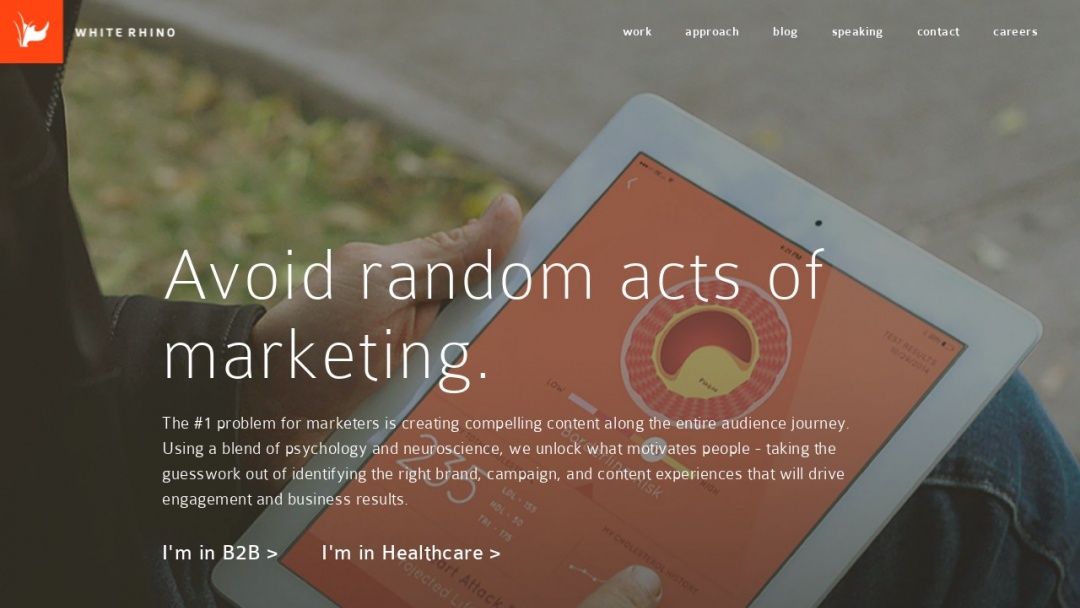 Screenshot of White Rhino's Website