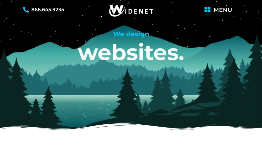 Screenshot of WideNet Consulting, LLC's Website