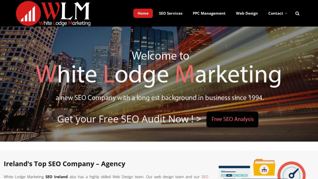 Screenshot of WLM SEO's Website