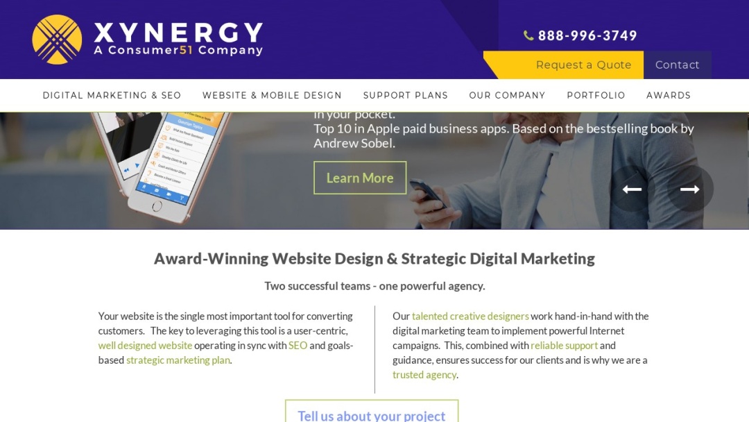 Screenshot of Xynergy's Website