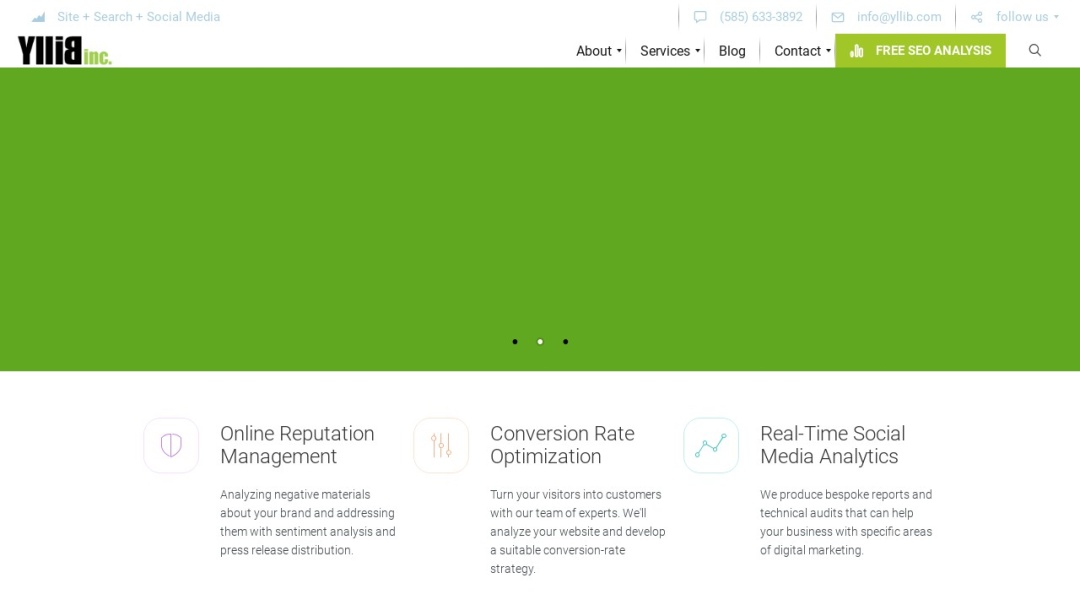 Screenshot of YlliB, Inc's Website