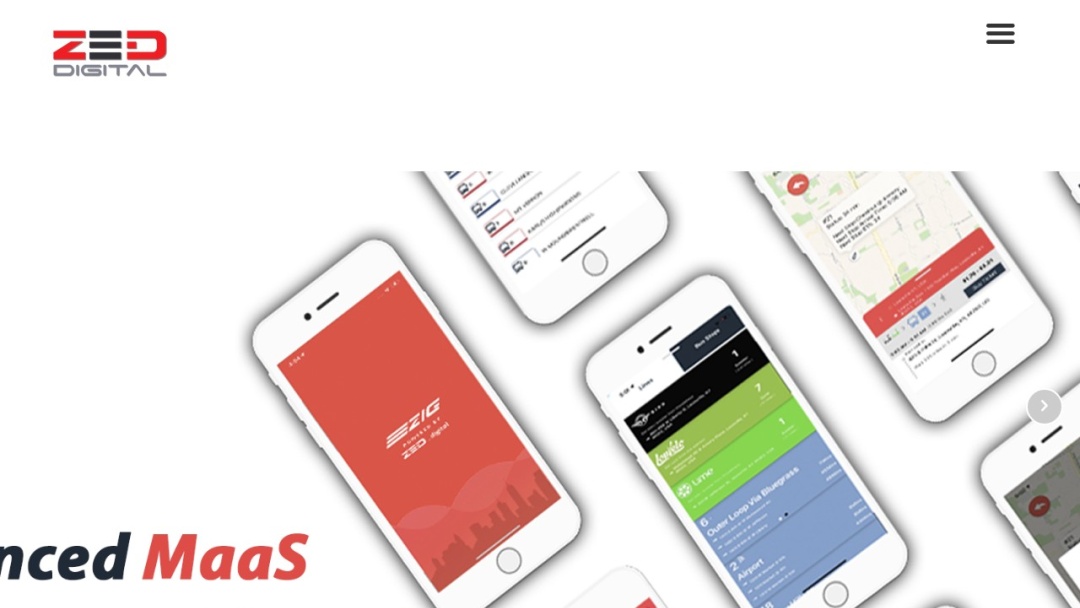 Screenshot of ZED Digital's Website