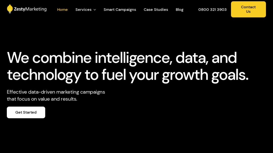 Screenshot of Zesty Marketing Agency's Website