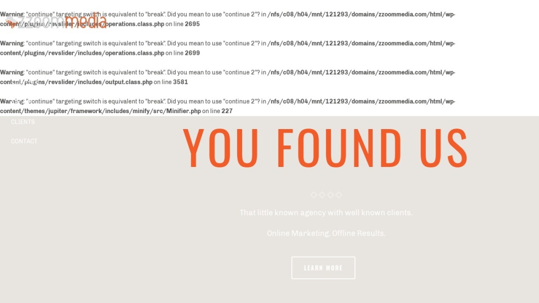 Screenshot of ZZoom Media's Website