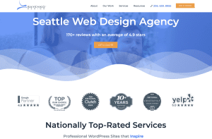 Sayenko Design - Award Winning Agency in Kirkland