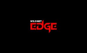 Wildnet Edge - Award Winning Agency in Lewes
