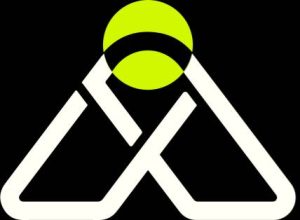 ASA Austin SEO Agency - Award Winning Agency in Austin